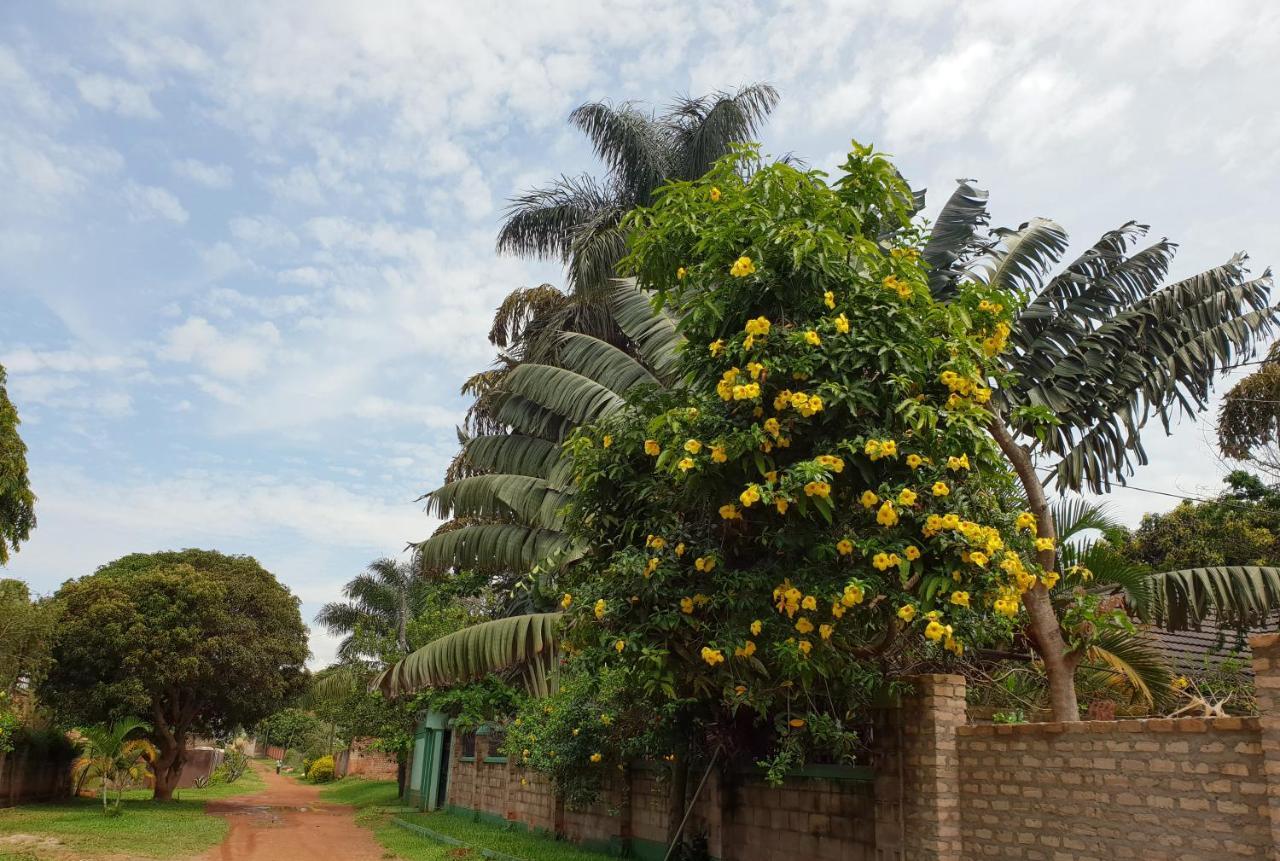 Anna'S Place Entebbe Bed & Breakfast Exterior photo